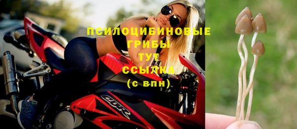 герыч Абаза