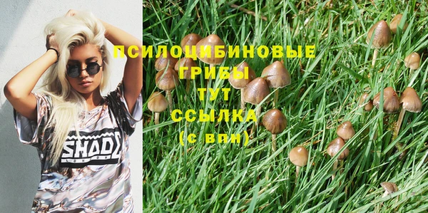 герыч Абаза