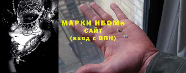 сатива Алзамай