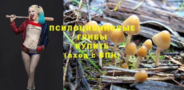 герыч Абаза