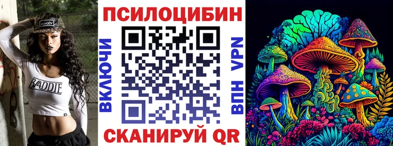 Псилоцибиновые грибы Cubensis  Щучье 